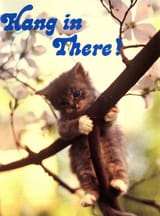 hang in there