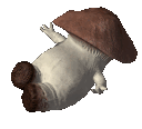 pftftpfptpfphptphthdfthp