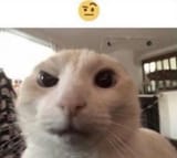 1722359431400212