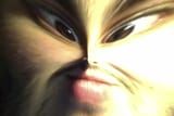 1654921540326
