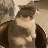 AHHHHHHHHH