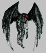 The Man the Myth The Moth
