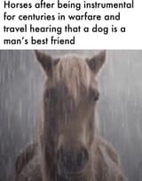 1752213739423934