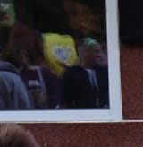spongebib