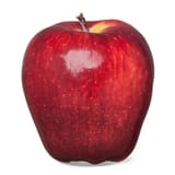 🍎🍎🍎🍎🍎🍎🍎🍎🍎🍎🍎🍎🍎🍎🍎🍎🍎🍎🍎🍎🍎🍎🍎