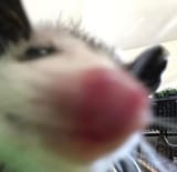 1741344278130876