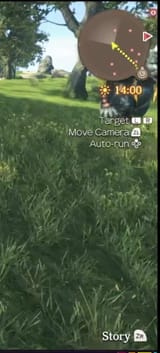 screen