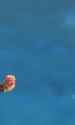 RED: Shadow Maggots_thumb.jpg