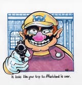 it looks like your trip to marioland is over