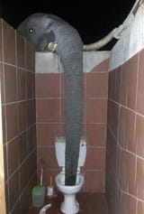 charging HEV suit
