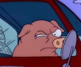 watermelon-pigs