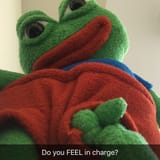 do_you_feel_in_charge