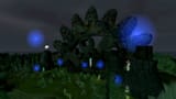 swamp20005_bright