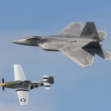 P51_pony
