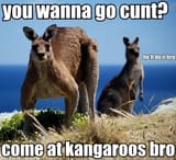 come at kangaroos bro