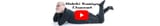 channels4_banner