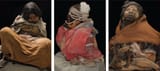 Incachildsacrificemummies