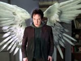 angel
