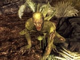 Patient_Zero
