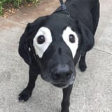 1721307245486555