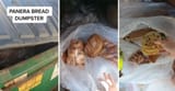 panera-food-waste-1687795372479