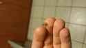 1743594063848704_thumb.jpg