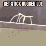You just got STICKBUGGED