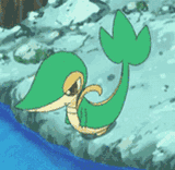 snivy-pokemon