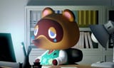 tomsad