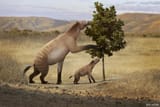 chalicotherium