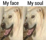 1735682553786993