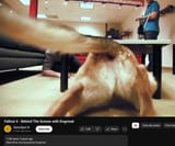 Dogmeat proofs