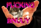 fucking bnuuy