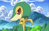 ashs-snivy-is-kinda-disappointing-v0-hok15e12u6wd1