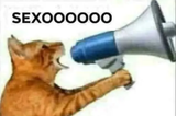 sexo