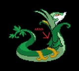 arms