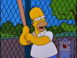 homer costanza