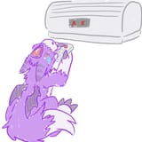 hot