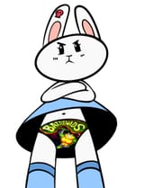 anon you better not be looking at my official battletoads pantsu