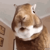 6788