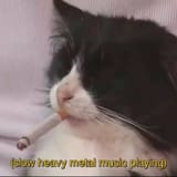 1497778770932