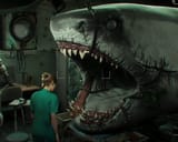 shark (2)