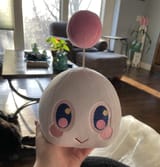 chao head