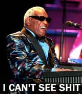 I Can&#039;t See Shit Says Ray Charles