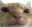 1605864524325
