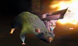 rat