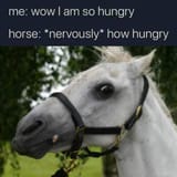 1747977666468288