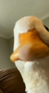 1697024641151574