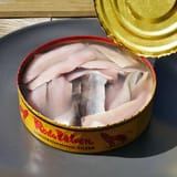 Surströmming