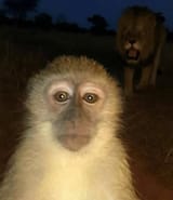 GsU_S2aWYAA1eSG